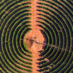 يالري المحوري (1)